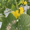 foto 33